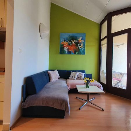 Janja Apartment Novigrad Istria 외부 사진