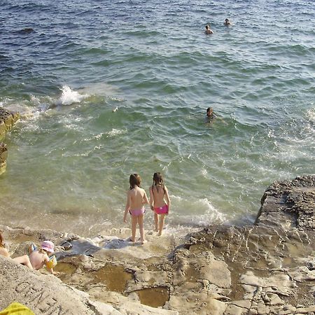 Janja Apartment Novigrad Istria 외부 사진